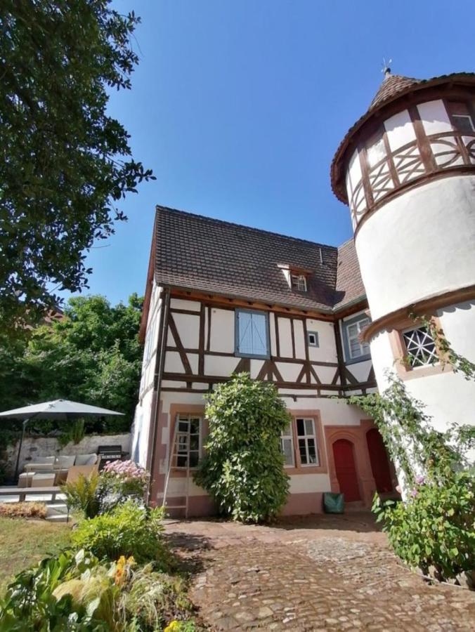 Maison Kobold Xvie Siecle Wissembourg Dış mekan fotoğraf