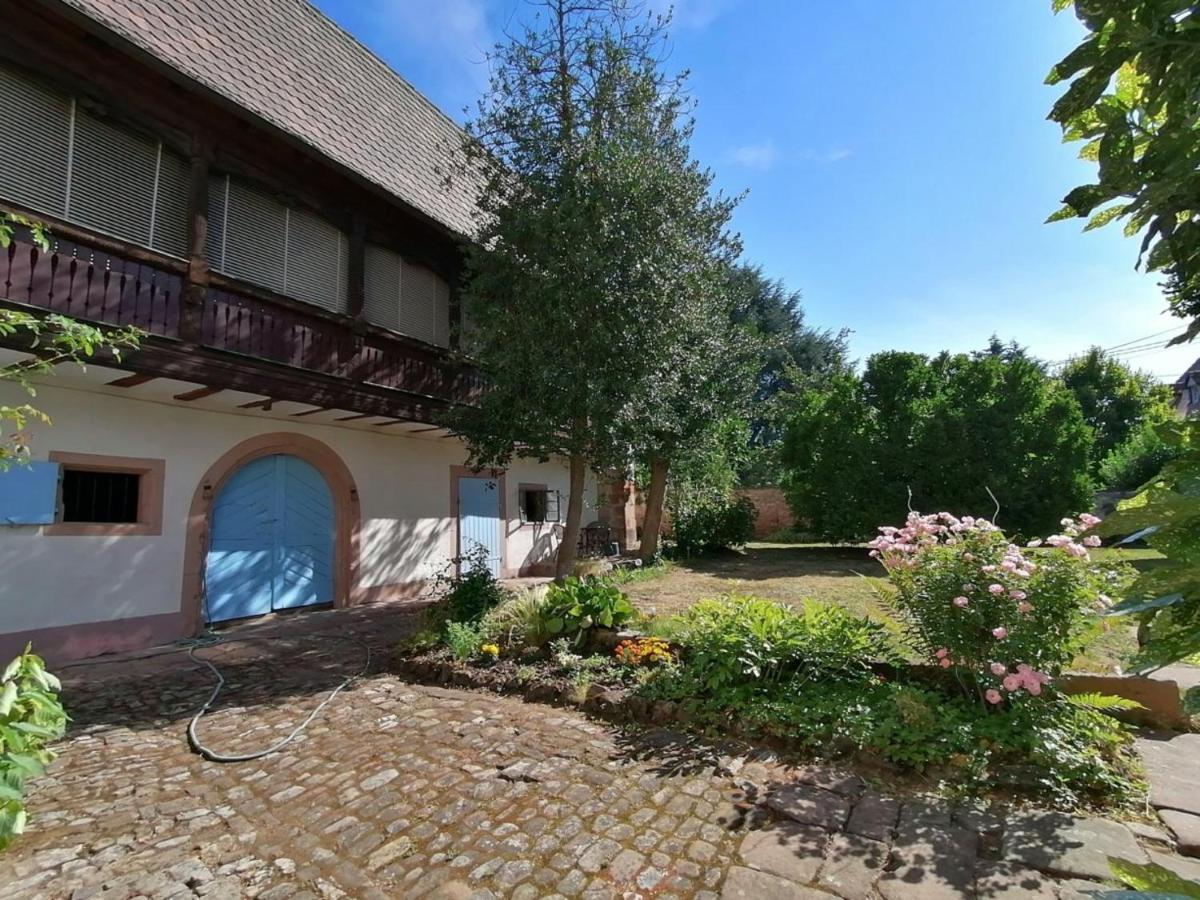 Maison Kobold Xvie Siecle Wissembourg Dış mekan fotoğraf