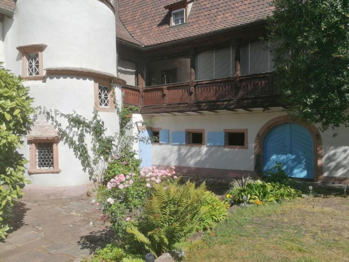 Maison Kobold Xvie Siecle Wissembourg Dış mekan fotoğraf