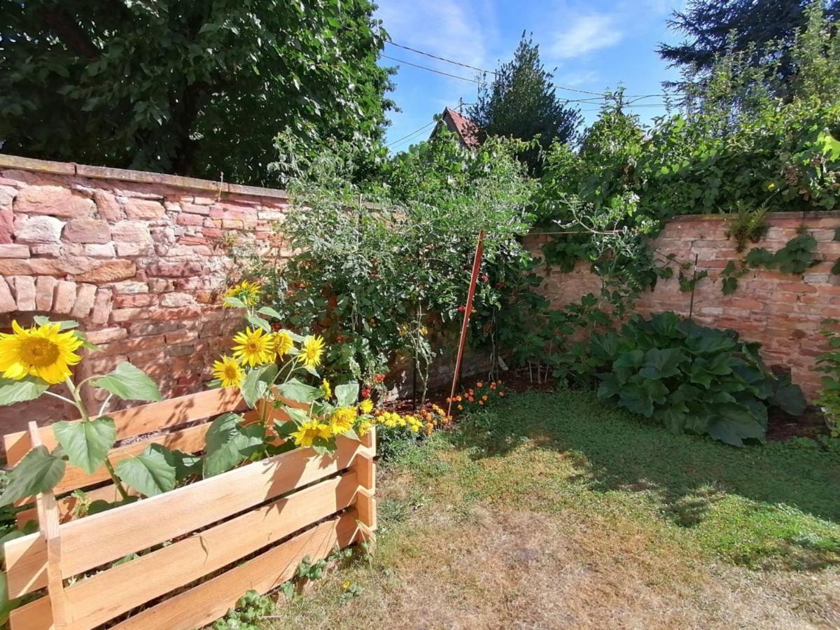 Maison Kobold Xvie Siecle Wissembourg Dış mekan fotoğraf