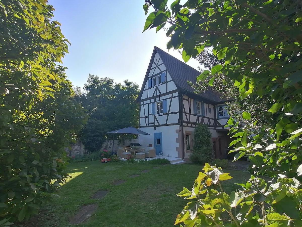 Maison Kobold Xvie Siecle Wissembourg Dış mekan fotoğraf