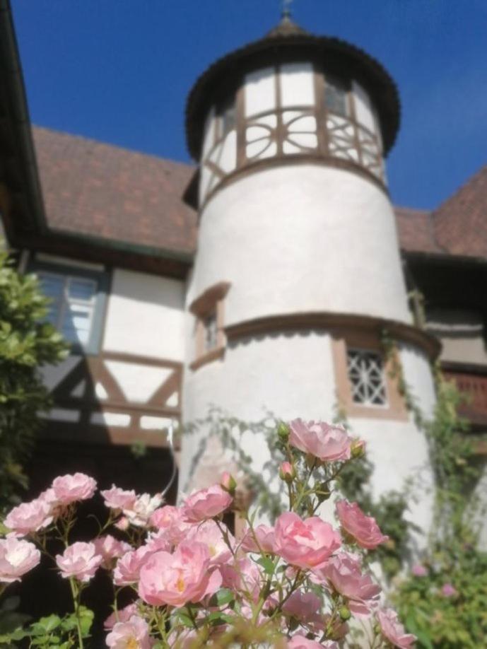 Maison Kobold Xvie Siecle Wissembourg Dış mekan fotoğraf