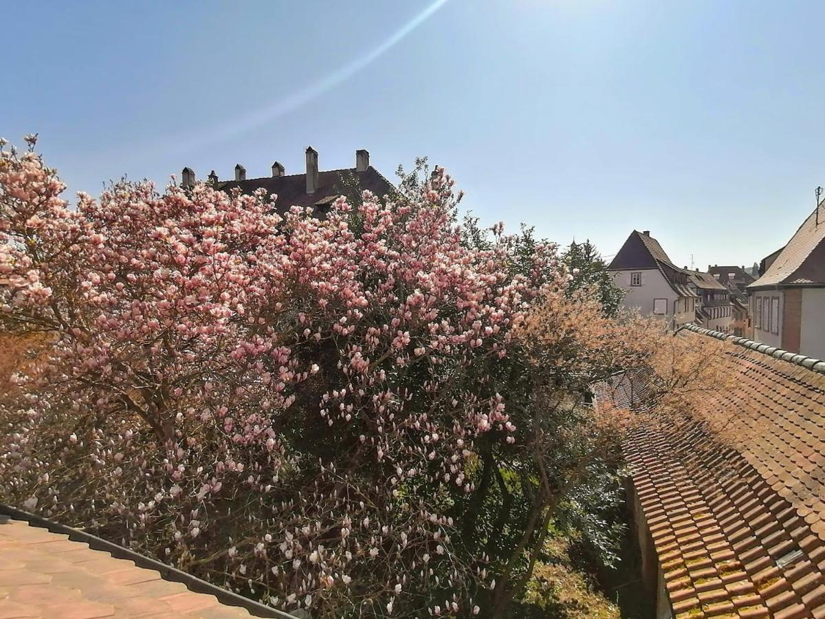 Maison Kobold Xvie Siecle Wissembourg Dış mekan fotoğraf