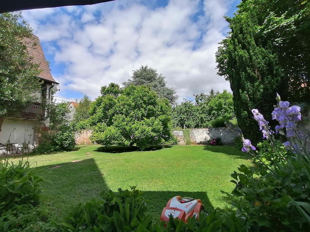 Maison Kobold Xvie Siecle Wissembourg Dış mekan fotoğraf
