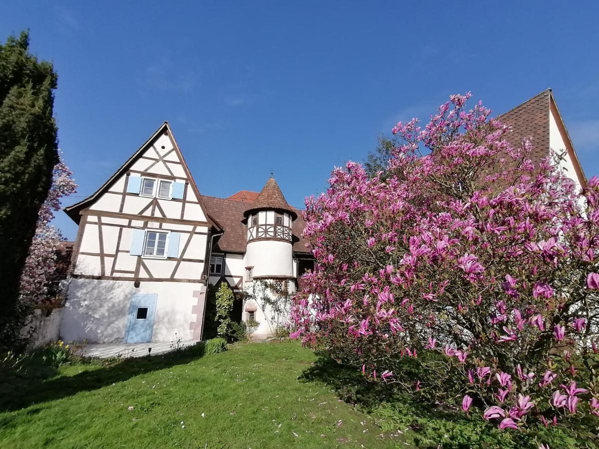 Maison Kobold Xvie Siecle Wissembourg Dış mekan fotoğraf