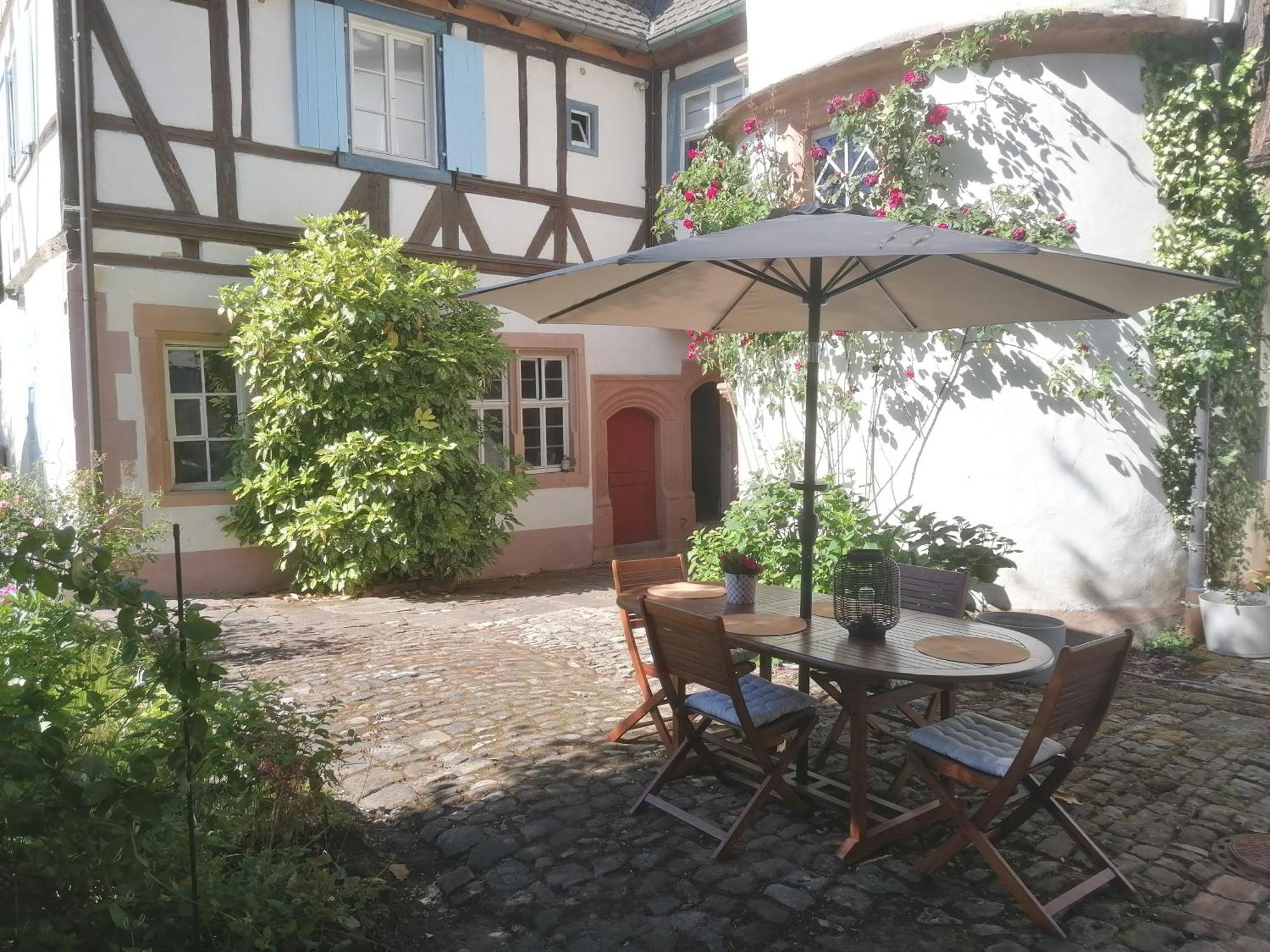 Maison Kobold Xvie Siecle Wissembourg Oda fotoğraf